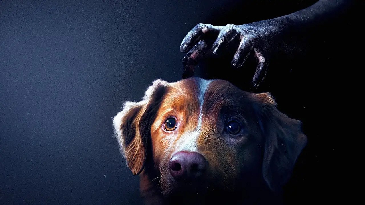 فیلم پسر خوب Good Boy 2025